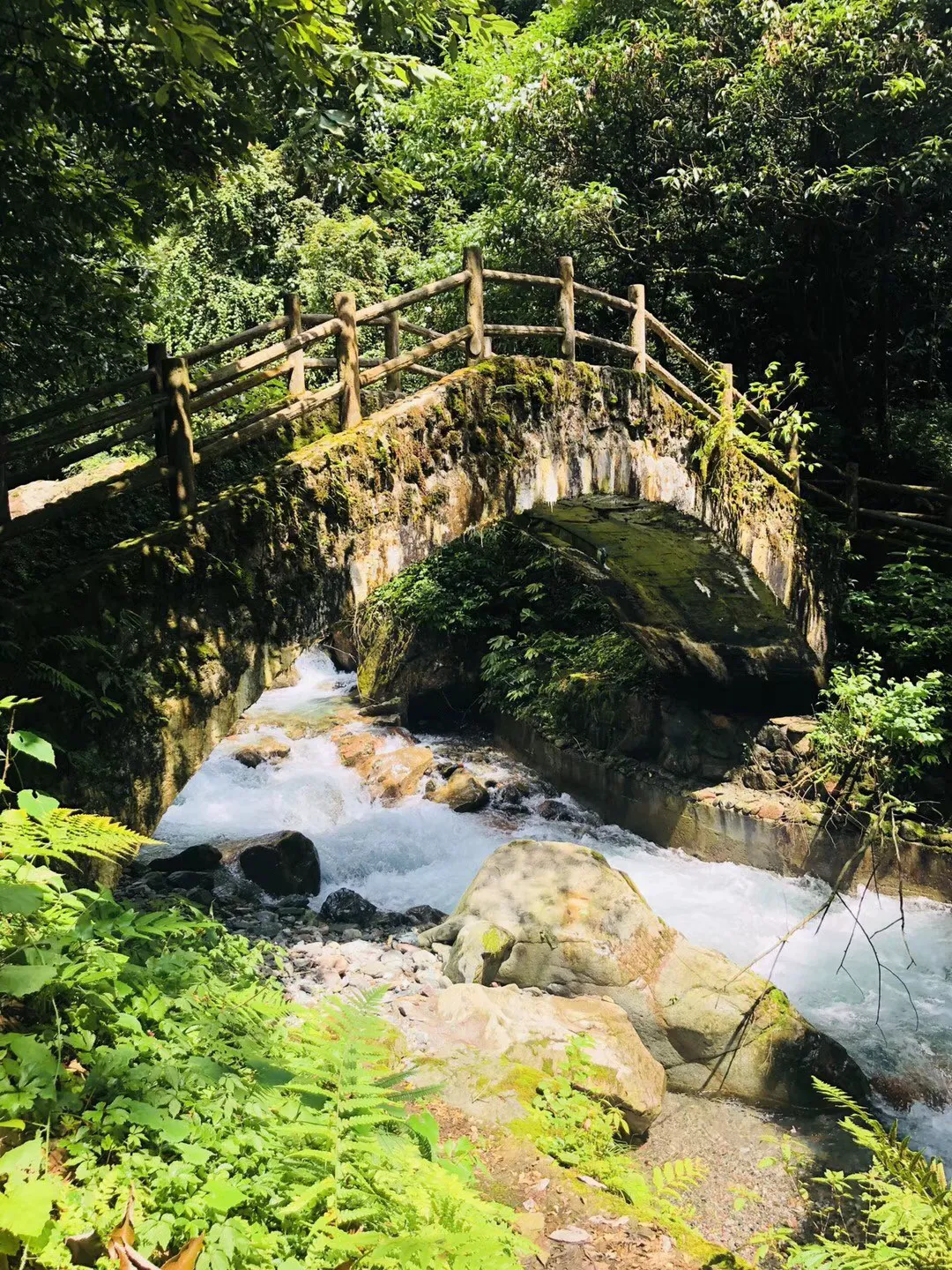 种子视频赚钱版游戏画面