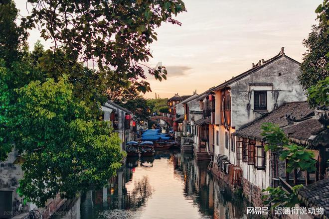 僵尸跳跳跳